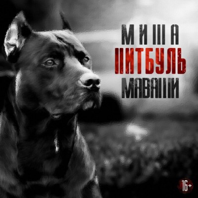 Миша Маваши — Питбуль (2017)
