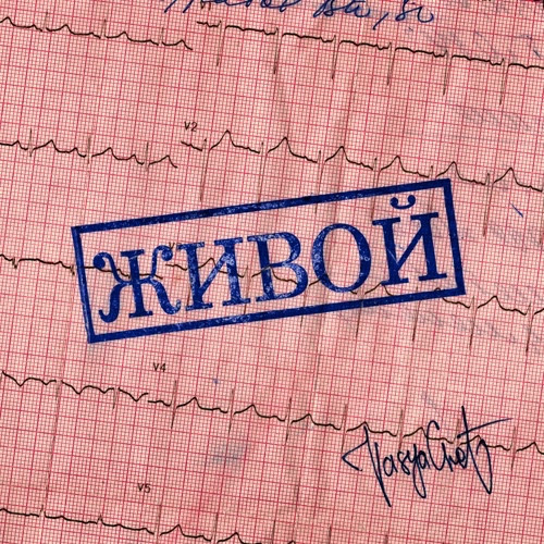 VasyaChet — Живой (2020) EP (п.у. Нигатив)
