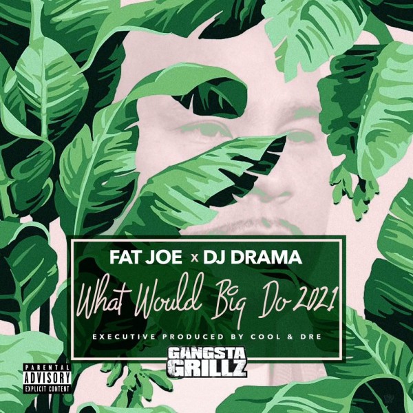 Fat Joe, DJ Drama, Cool & Dre — What Would Big Do (2021)