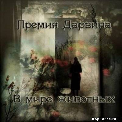 Премия Дарвина - В Мире Животных (2010)