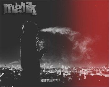 Malik — 2013 (2013) Malik — 2013 (2013)