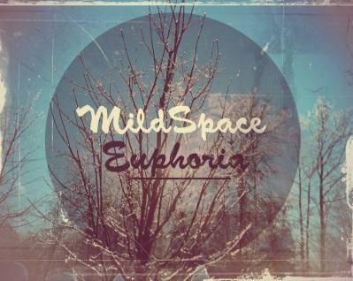Mildspace | Мягкий Космос — Euphoria (2013)