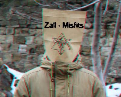 Zall — Misfits (2013)
