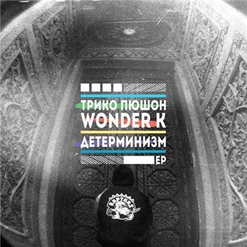 Трико Пюшон & Wonder K — Детерминизм (2013) EP