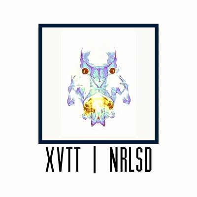 XVTT — NRLSD (2013)