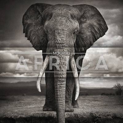Мэйти — Африка (2013) Мэйти — Африка (2013)