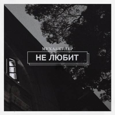 Муха & Кулер — Не Любит (2013)