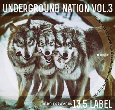 13.5 (Tosh, Pasha Madcat, Levon, Deems) — Underground nation vol.3 (2014)