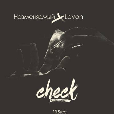 13.5 (Levon,Невменяемый) — Check (2014)